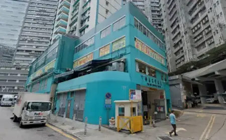 Hong Kong Restaurant Baby Rat Incident: Food Safety Accountability Matters