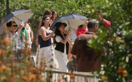 What Is Open in Barcelona on September 11: Diada Guide