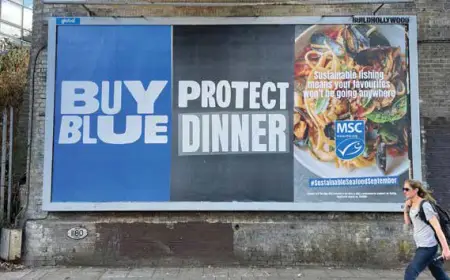 MSC Sustainable Fisheries: Ocean Leadership Transforms Global Seafood Industry