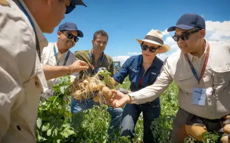 PepsiCo Global Potato Expertise Shared Through Agro University