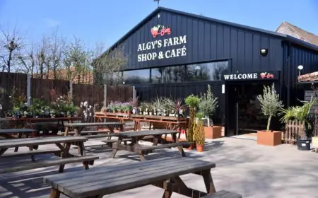 Norfolk Farm Shops with Cafés: Agricultural Hospitality Transforms Rural Communities