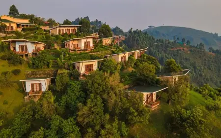 Banyan Group African Safari Market Entry Debuts in Style