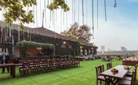Gallops Restaurant Mumbai Licence Suspended Over Hygiene Violations
