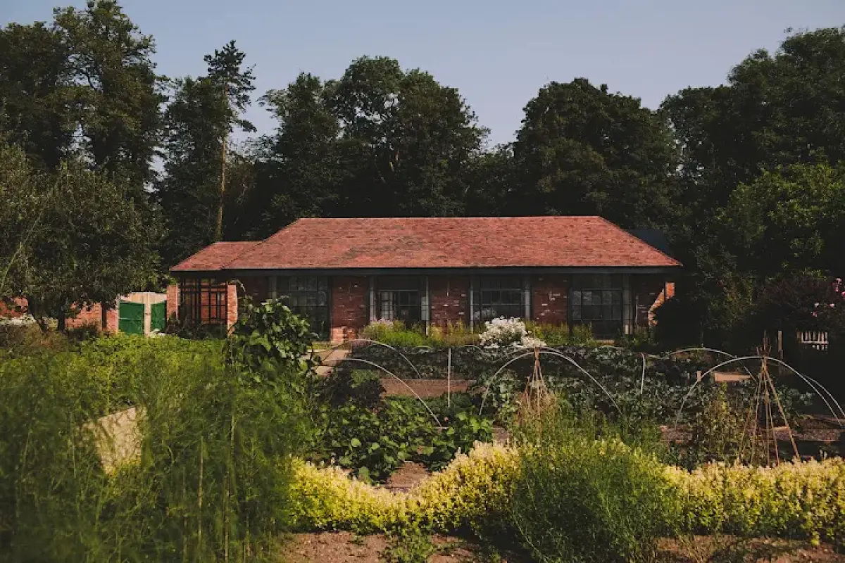 Grace & Savour Restaurant Named Among UK's Best Restaurants 2026: Untold