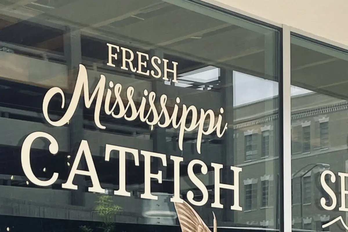 Shivers Creek Catfish House Downtown Jackson Opening 2026 Targets Folk Festival