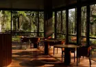 Yiaga Restaurant Melbourne Wins Global Visa One to Watch Award 2026