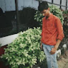 Akshat Porwal