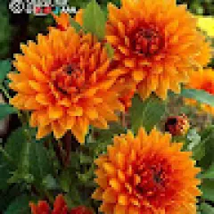 Kavyashree Ravi durga