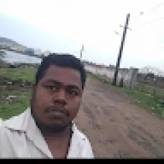 dineshkumar p