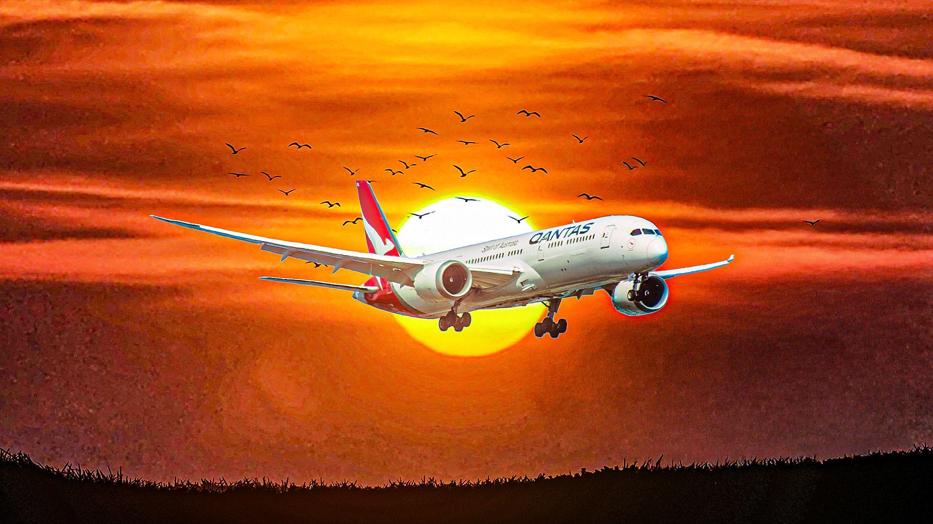 Qantas flight cancellation: Breaking news on 787 bedbug infestation