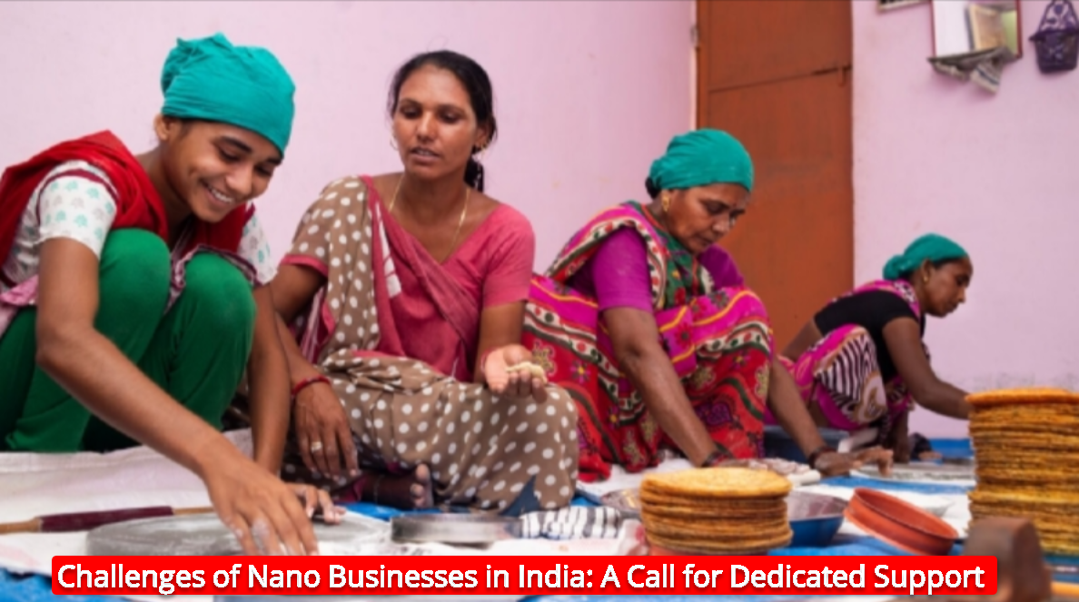 Challenges Of Nano Businesses In India A Call For Dedicated Support 2