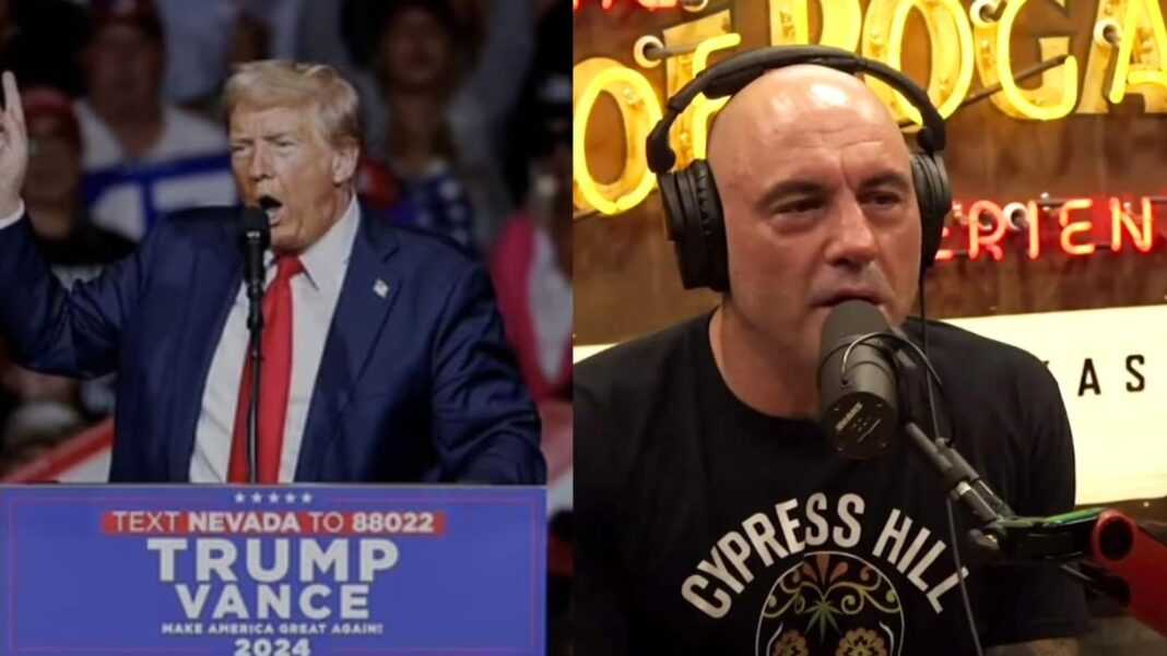 Trump on Rogan breaks YouTube with document world views in simply 20 hours