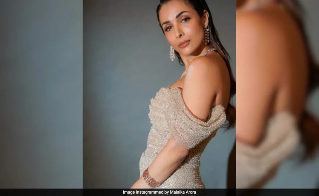 Malaika Arora Shares Cryptic Submit After Arjun Kapoor Confirms Breakup: “Touching A Coronary heart…”