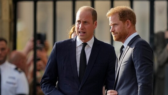 Prince Harry flew more than 5,000 miles to see his father after King Charles III was diagnosed with cancer. But he did not see his estranged brother, William, during a visit that lasted scarcely 24 hours. (AP Photo/Martin Meissner, File)(AP)