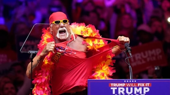 Hulk Hogan speaks before Republican presidential nominee former President Donald Trump at a campaign rally at Madison Square Garden, Sunday, Oct. 27, 2024, in New York. (AP Photo/Evan Vucci)(AP)