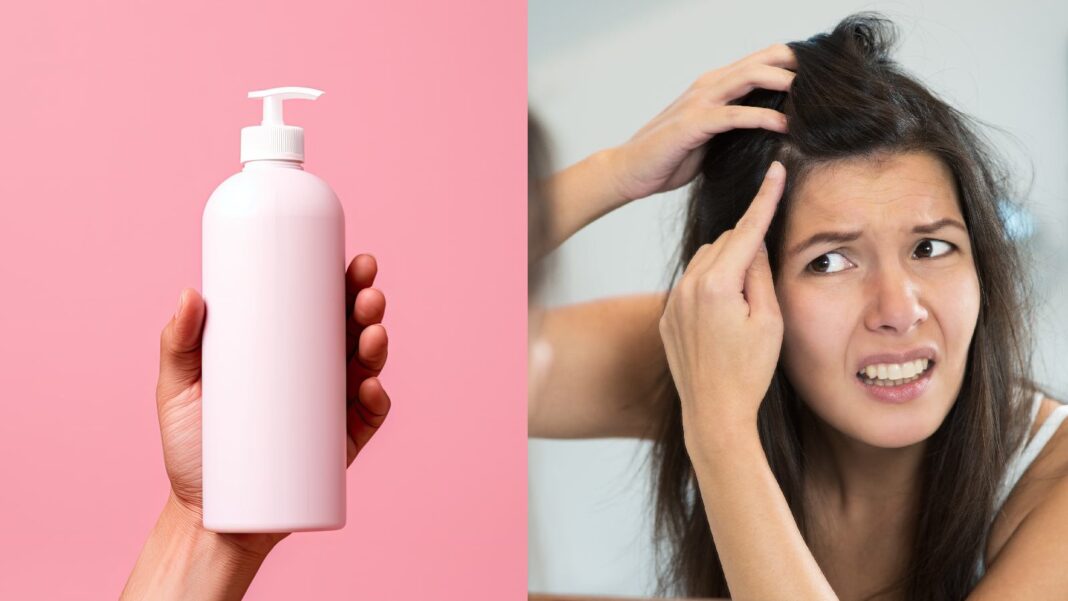 Finest anti-lice shampoos: 6 prime picks to eliminate hair lice