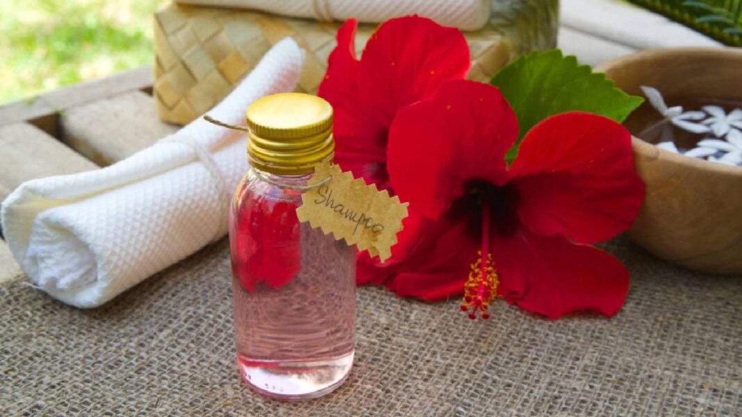 8 greatest hibiscus shampoo for hair progress