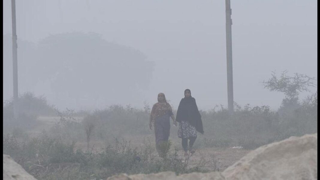 Delhi’s air high quality stays ‘very poor’ for thirteenth day; visibility dips to 800m | Newest Information India