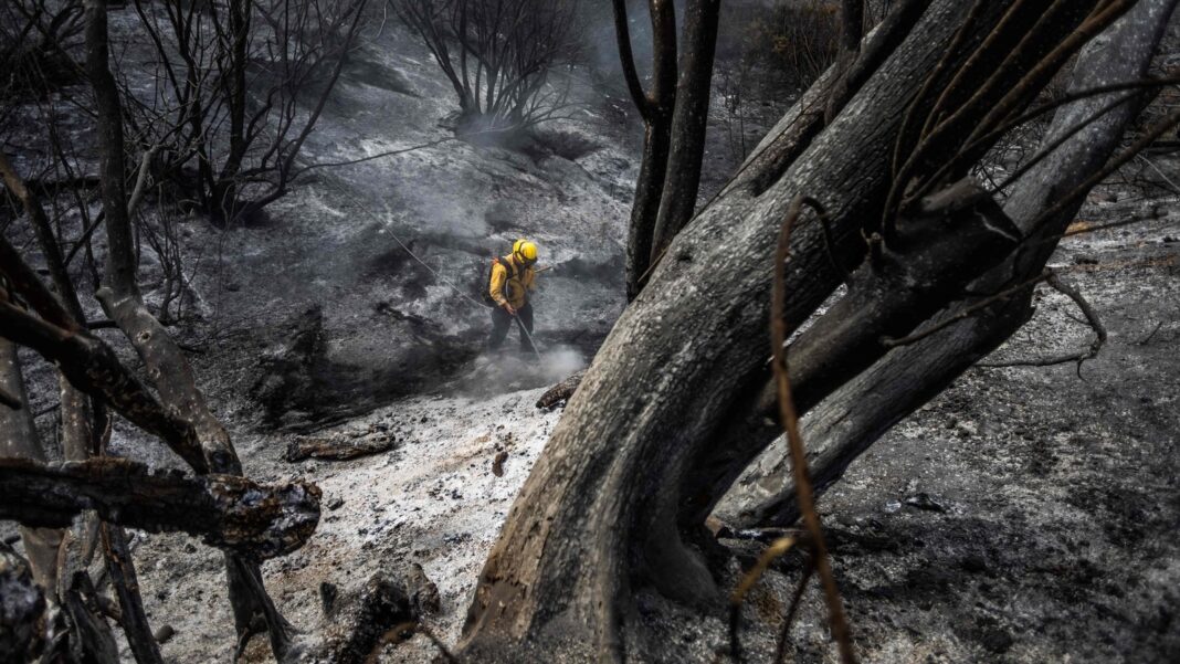 A wildfire fueled by strong winds has devastated Southern California, thousands evacuated