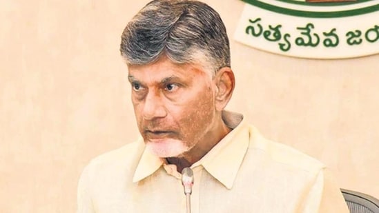 File Photo: Andhra Pradesh chief minister N Chandrababu Naidu chairs a cabinet meeting. (PTI)