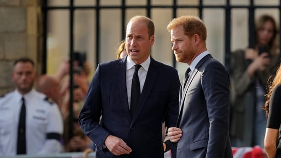 During a January 2023 interview, Prince Harry discussed the possibility of Prince William writing a memoir. (AP Photo/Martin Meissner, File)(AP)