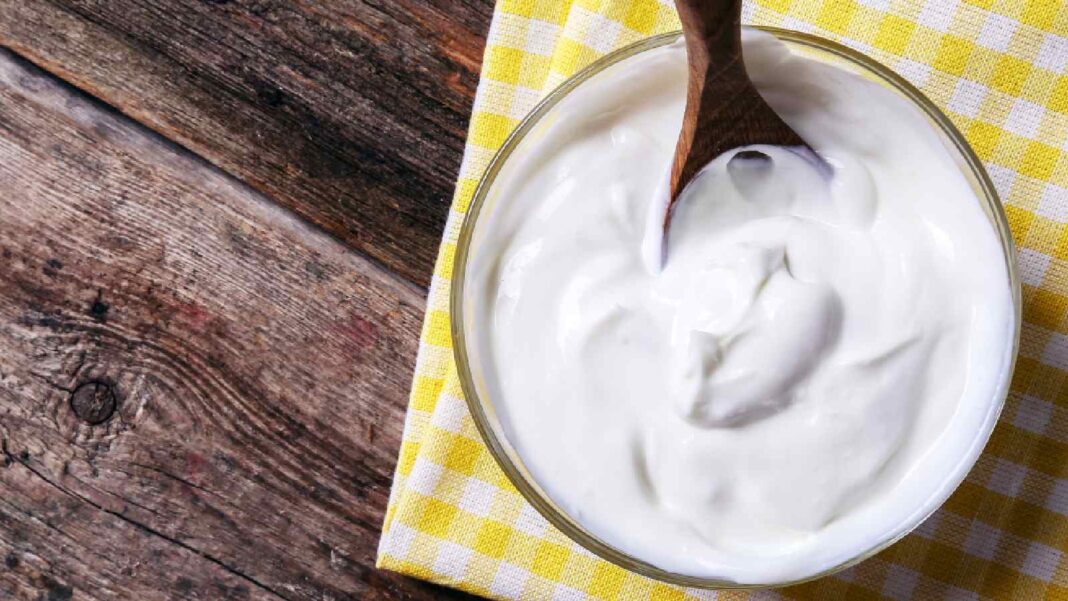 How you can make curd at dwelling