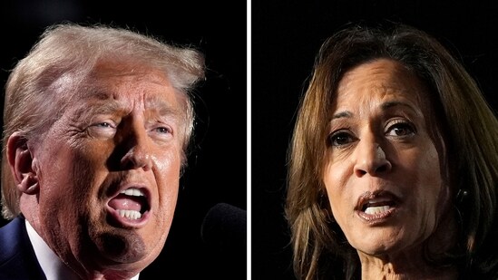 Kamala Harris pulls ahead of Donald Trump in new poll from battleground state (AP Photo)(AP)