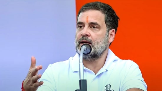 Congress leader Rahul Gandhi addresses a public meeting in support of AICC General Secretary and party candidate for Wayanad Lok Sabha by-polls seat Priyanka Gandhi in Mananthavady.(PTI)