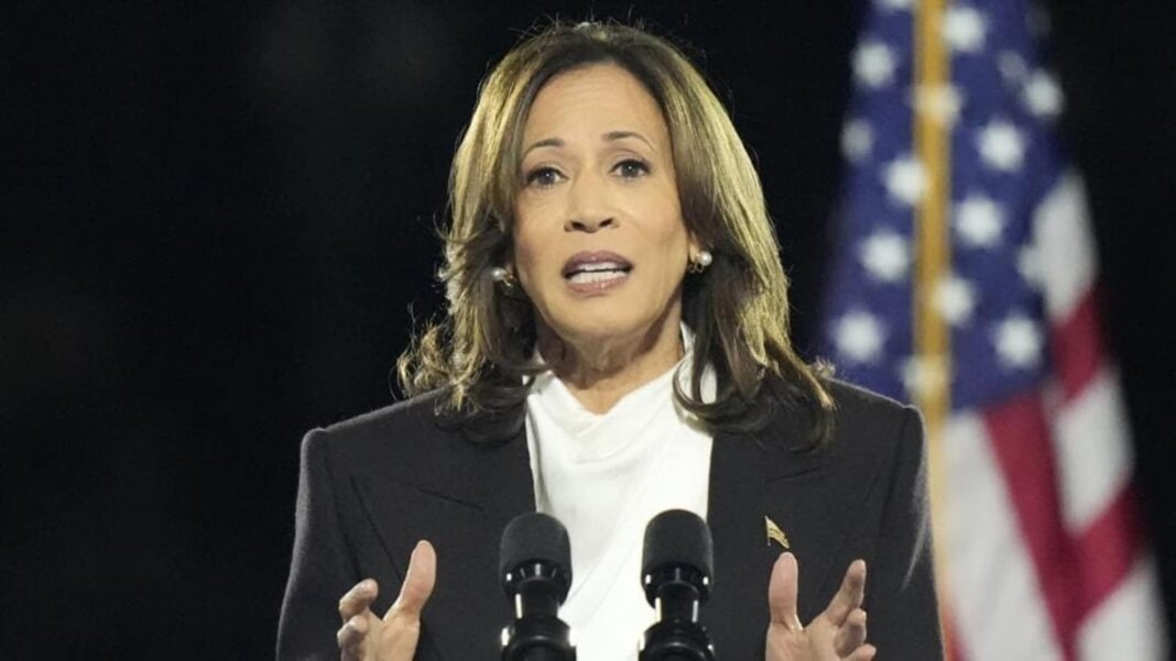 US 2024 election: Kamala Harris represents new democratic party and future