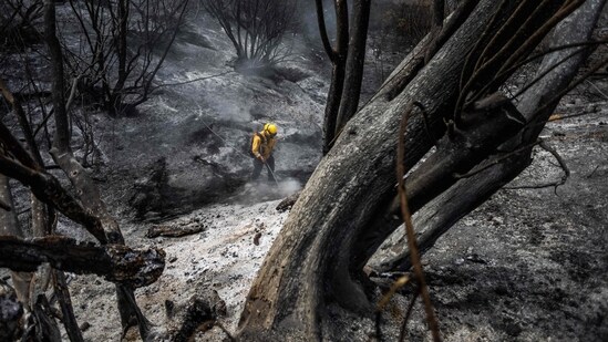 Firefighters work to control hotspots at Los Padres National Forest, where the Felicia Fire has burned more than 300-acres on October 4, 2024 in Piru, California. (Photo by Apu Gomes / GETTY IMAGES NORTH AMERICA / Getty Images via AFP)(Getty Images via AFP)