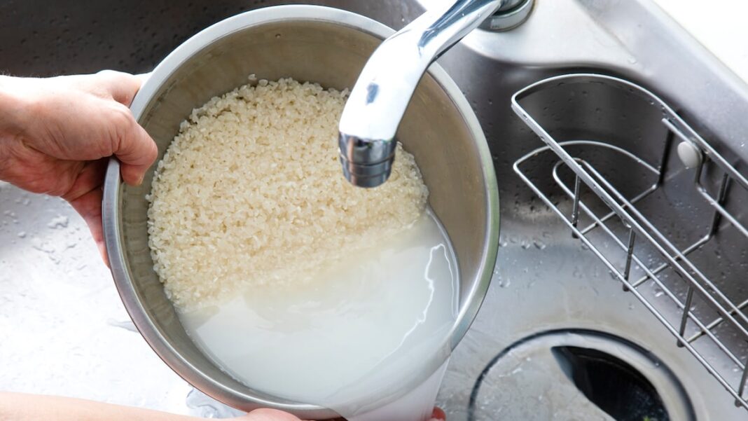 Dont Throw Away Rice Water: Right here Are 6 Wonderful Makes use of For Rice Water Round The Home