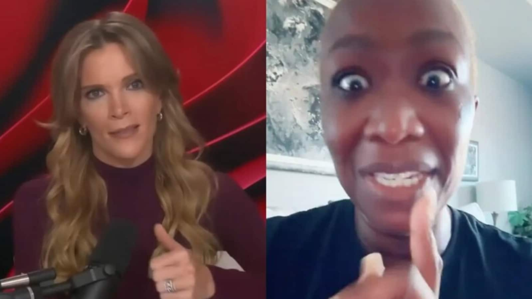 ‘Where is your hair?’: Megyn Kelly rips ‘despicable’ Joy Reid for rant against progressive white women; Internet reacts